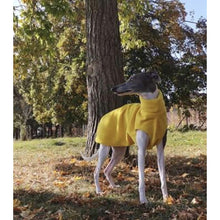 Load image into Gallery viewer, Sighthound fleece pulloever idea on walks 
