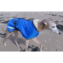 Load image into Gallery viewer, The Trendy Whippet coat - starbright royal blue waterproof rain coat for whippets and sighthounds

