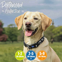 Load image into Gallery viewer, Black Daisy design dog collar and leash sets in nylon