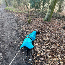 Load image into Gallery viewer, waterproof windproof whippet and greyhound coats