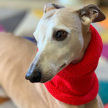 Load image into Gallery viewer, red whippet snood
