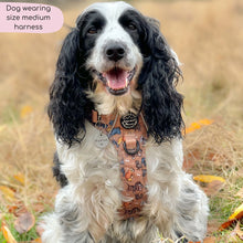Load image into Gallery viewer, Disney Dogs Collection: Harnesses / Collars / Leads