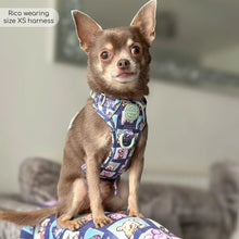 Load image into Gallery viewer, Disney - Winnie the Pooh &amp; Friends Harnesses / Collars / Leads