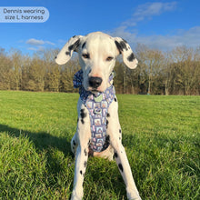 Load image into Gallery viewer, Disney - Winnie the Pooh &amp; Friends Harnesses / Collars / Leads