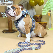 Load image into Gallery viewer, Disney winnie the pooh and friends dog lead

