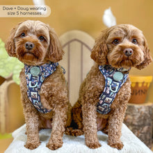 Load image into Gallery viewer, Disney - Winnie the Pooh &amp; Friends Harnesses / Collars / Leads