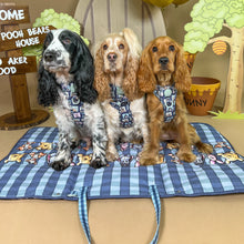 Load image into Gallery viewer, Disney - Winnie the Pooh &amp; Friends Harnesses / Collars / Leads