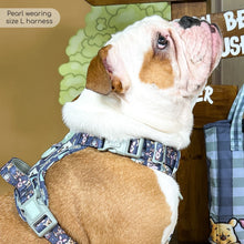 Load image into Gallery viewer, Disney - Winnie the Pooh &amp; Friends Harnesses / Collars / Leads