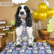 Load image into Gallery viewer, Disney - Winnie the Pooh &amp; Friends Harnesses / Collars / Leads