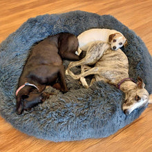 Load image into Gallery viewer, Three dogs lying on a fluffy gray pet bed on a wooden floor.
