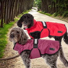 Load image into Gallery viewer, 3-in-1 Dog Coat
