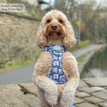 Load image into Gallery viewer, Dog wearing a blue harness with a pattern, standing on a stone path outdoors.
