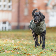Load image into Gallery viewer, dog in the park wearing dog coat
