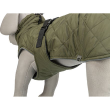 Load image into Gallery viewer, Green quilted dog coat on a mannequin with a white background
