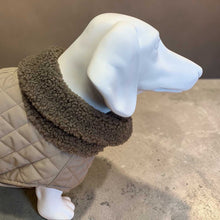 Load image into Gallery viewer, Andora - Quilted Dachshund Coat with Fleece Neck
