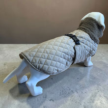Load image into Gallery viewer, Andora - Quilted Dachshund Coat with Fleece Neck
