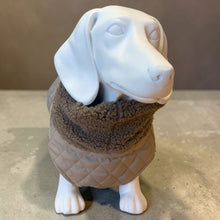 Load image into Gallery viewer, Andora - Quilted Dachshund Coat with Fleece Neck
