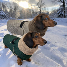 Load image into Gallery viewer, Andora - Quilted Dachshund Coat with Fleece Neck
