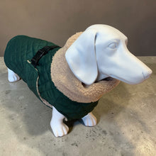 Load image into Gallery viewer, Andora - Quilted Dachshund Coat with Fleece Neck
