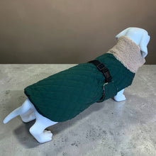 Load image into Gallery viewer, Andora - Quilted Dachshund Coat with Fleece Neck
