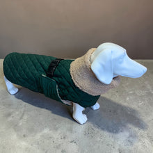 Load image into Gallery viewer, Andora - Quilted Dachshund Coat with Fleece Neck
