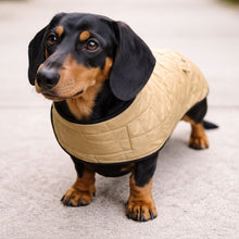 Load image into Gallery viewer, dachshund waterproof quilted coat - fleece lined - pockets
