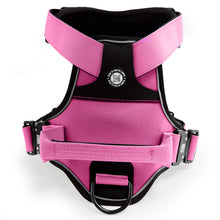 Load image into Gallery viewer, Tactical K9 Endurance Dog Collars / Leads / Harnesses
