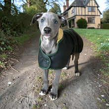 Load image into Gallery viewer, Wax Sighthound Coat Green
