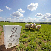 Load image into Gallery viewer, baaluxe wash balls - remove hair from tumble dryer loads
