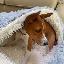Load image into Gallery viewer, Mosey the Basenji
