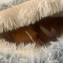 Load image into Gallery viewer, Basenji in drydogs cove bed
