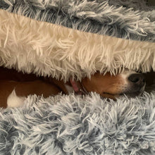 Load image into Gallery viewer, snug warm winter dog bed
