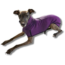 Load image into Gallery viewer, Bella the whippet wearing navy base layer for sighthounds with underbelly and snood neck
