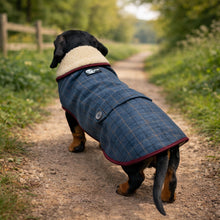 Load image into Gallery viewer, dachshund tweed jacket / coat
