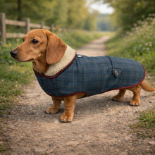 Load image into Gallery viewer, dachshund tweed jacket / coat
