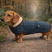 Load image into Gallery viewer, dachshund tweed jacket / coat

