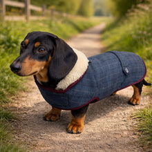 Load image into Gallery viewer, dachshund tweed jacket / coat
