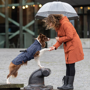 waterproof dog coat - husum from DryDogs