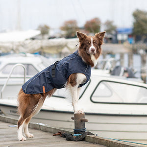 waterproof dog coat - husum from DryDogs