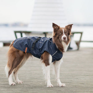 waterproof dog coat - husum from DryDogs