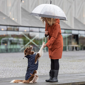 waterproof dog coat - husum from DryDogs