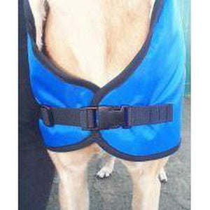our greyhound coats have adjustable clip release fasteners - front view
