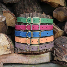 Load image into Gallery viewer, Set of colorful dog collars stacked on wooden logs
