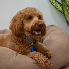 Load image into Gallery viewer, Corduroy large 100cm donut dog beds
