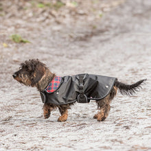 Load image into Gallery viewer, Hermy Dachshund Coat with Leg Straps
