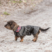 dachshund waterproof dog coat