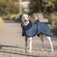 Load image into Gallery viewer, Sherpa Minot - Quilted Dog Coat with Harness Hole
