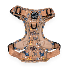 Load image into Gallery viewer, Disney Dogs Collection: Harnesses / Collars / Leads