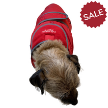 Load image into Gallery viewer, border terrier coats
