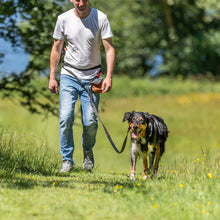 Load image into Gallery viewer, A man walking a black and tan dog on a grassy path outdoors. The man is wearing a white t-shirt, blue jeans, and gray sneakers, and the dog is on a black leash.
